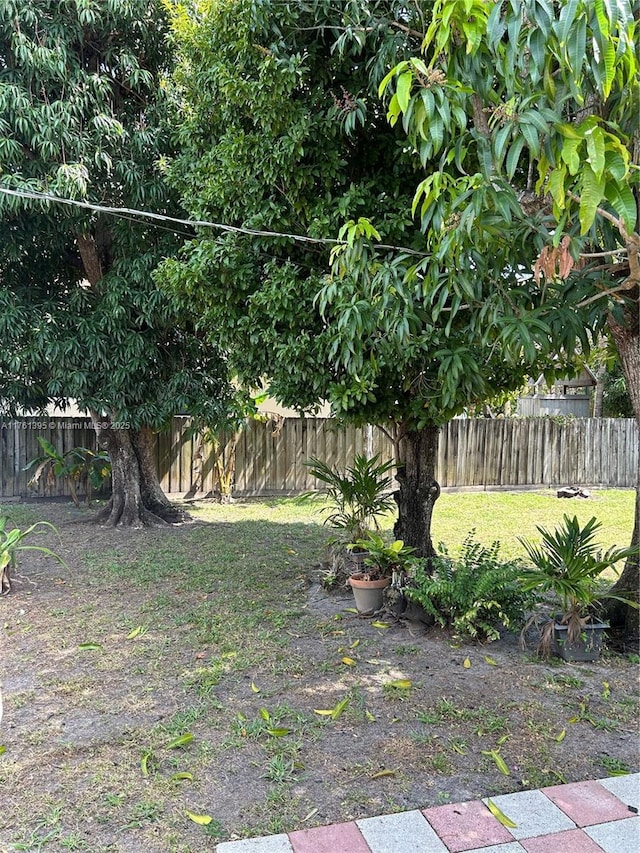 view of yard featuring a fenced backyard