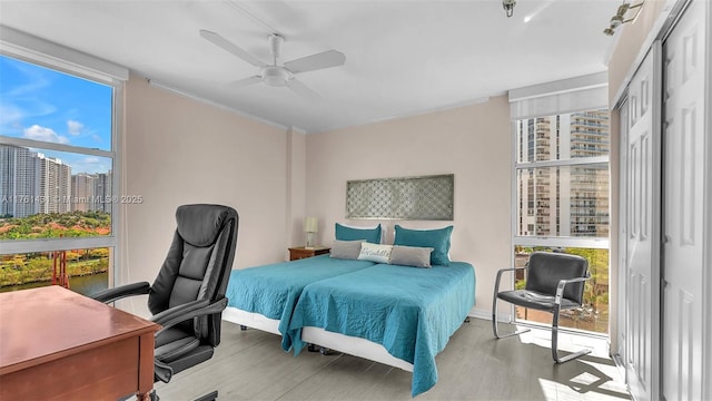 bedroom featuring ceiling fan, a wall of windows, a city view, and wood finished floors