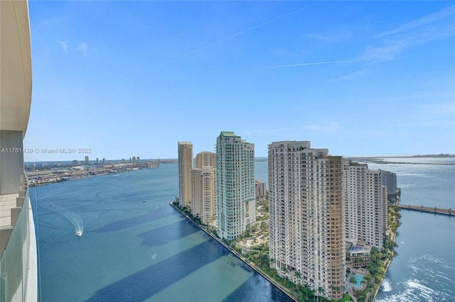 300 Biscayne Blvd Way Unit 3405, Miami, FL 33131 - photo 55
