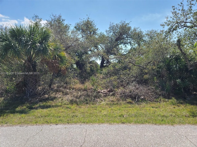 12133 Lenglen Ave, Port Charlotte FL, 33981 land for sale