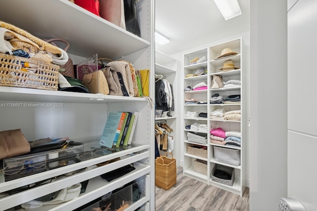 spacious closet featuring wood finished floors