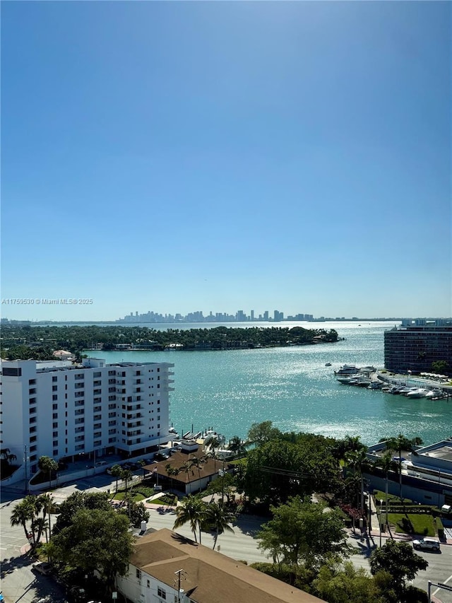 view of water feature featuring a view of city