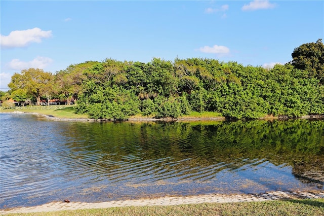 property view of water