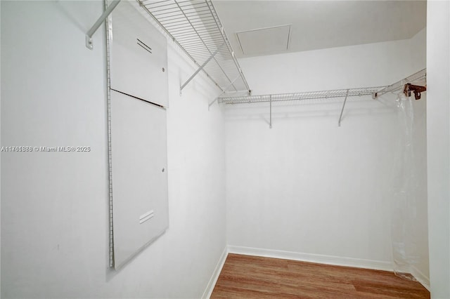 spacious closet featuring light wood-style flooring