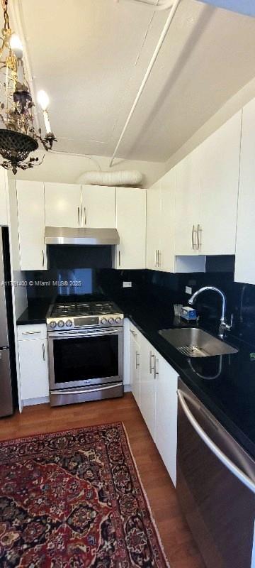 700 Biltmore Way Unit 1005, Coral Gables, FL 33134 - kitchen with stainless steel appliances, under cabinet range hood, a sink, dark wood-style floors, and white cabinetry