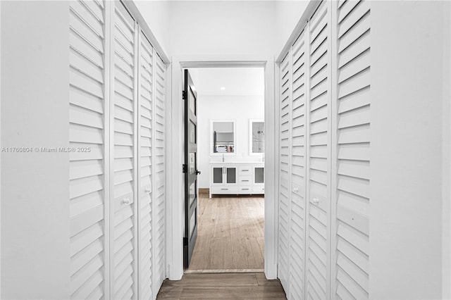 hallway with dark wood-style floors