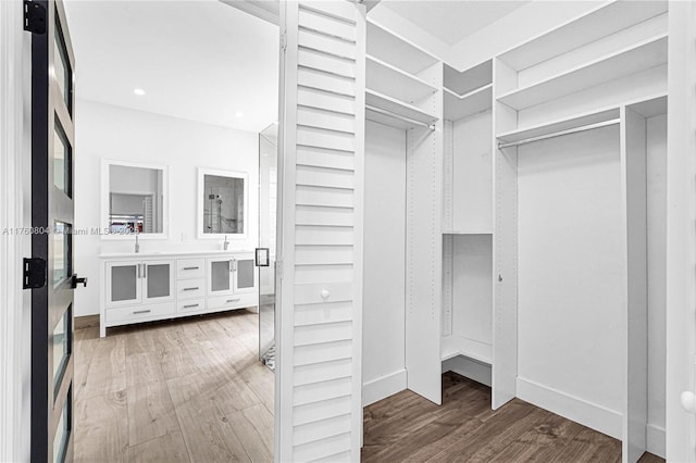 spacious closet featuring wood finished floors