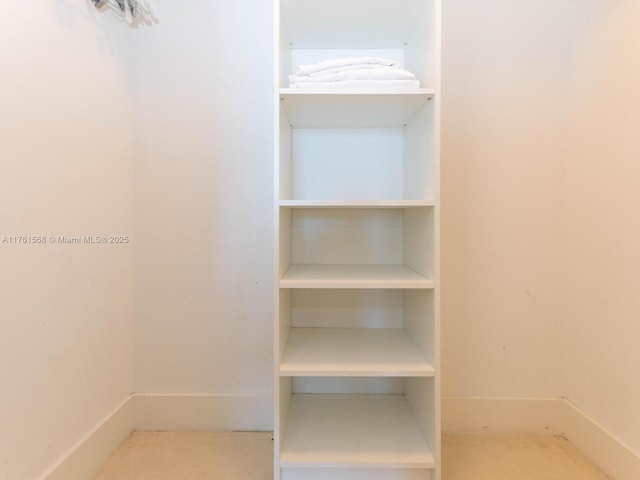 view of spacious closet