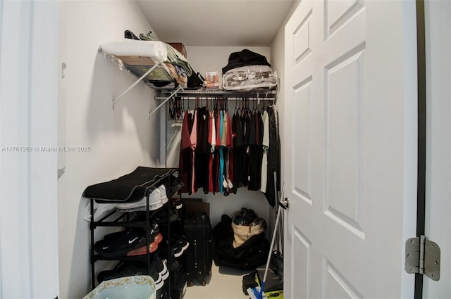 view of spacious closet