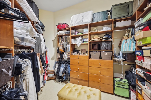 spacious closet featuring carpet