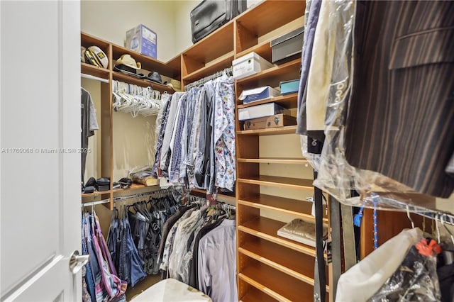 view of spacious closet