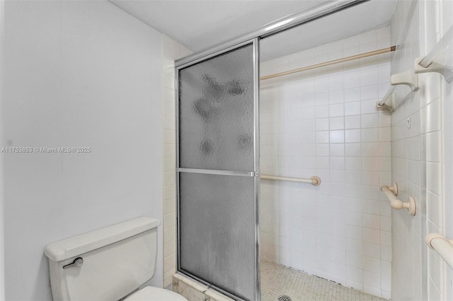 full bathroom featuring a shower stall and toilet