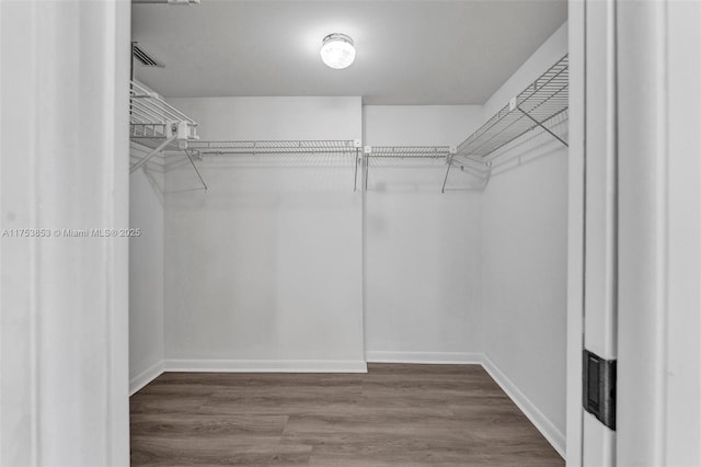 walk in closet featuring wood finished floors