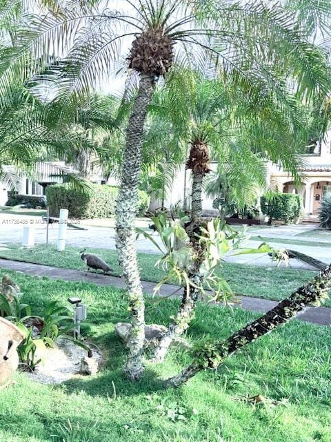 1643 Nethia Dr, Miami, FL 33133 - view of community