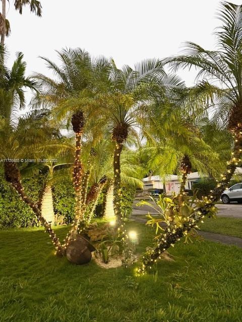 1643 Nethia Dr, Miami, FL 33133 - view of yard featuring a fenced backyard