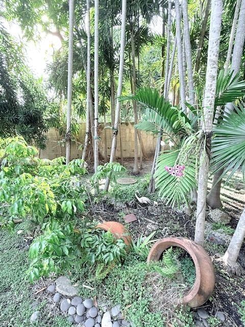 1643 Nethia Dr, Miami, FL 33133 - view of undeveloped land