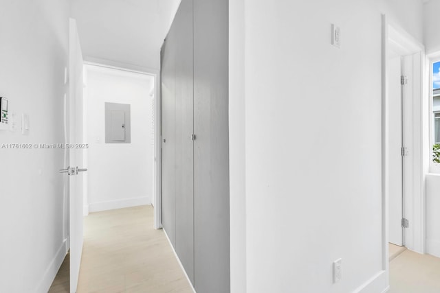 hallway with electric panel and light wood-style floors