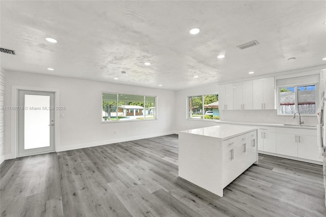 kitchen featuring plenty of natural light, light wood-style flooring, a center island, and a sink