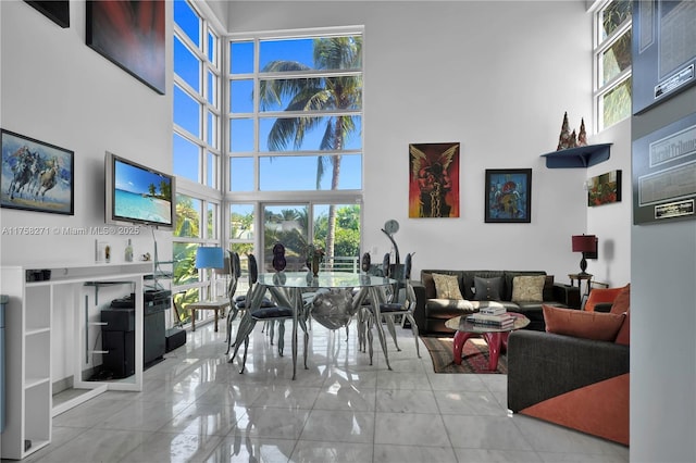 living area with a high ceiling