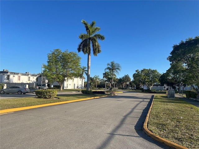 view of road with curbs