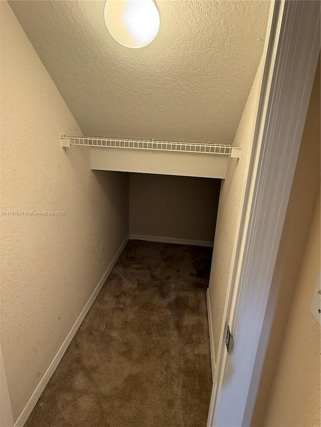 walk in closet with carpet floors