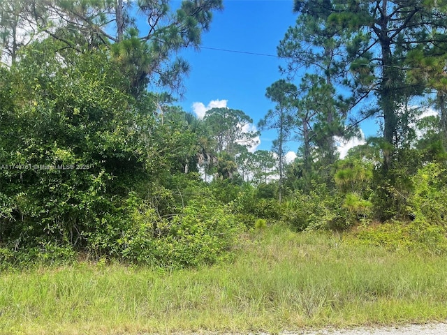 1026 Barcelona St E, Lehigh Acres FL, 33974 land for sale