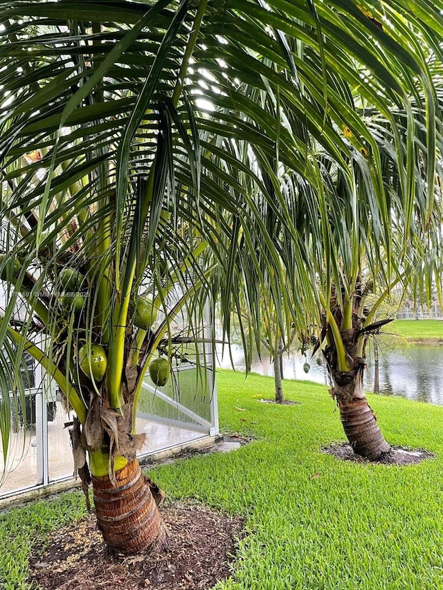 view of yard featuring a water view