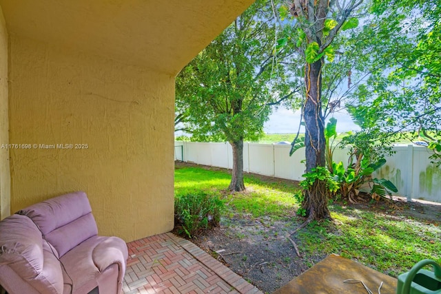 view of yard with a patio and a fenced backyard