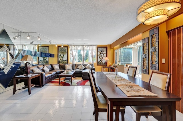 dining space with plenty of natural light and a textured ceiling