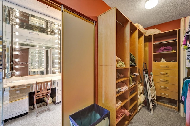 spacious closet featuring carpet flooring