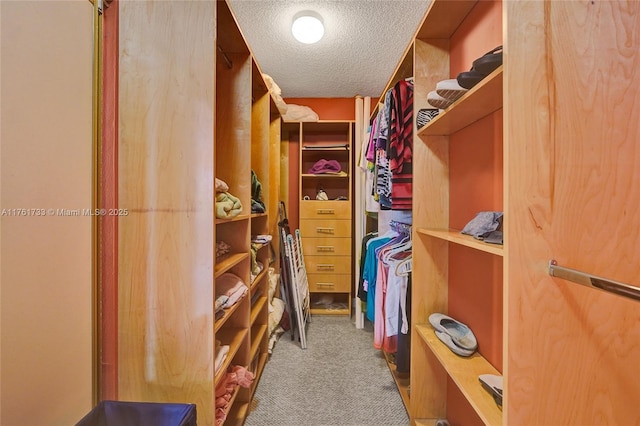 walk in closet featuring carpet flooring