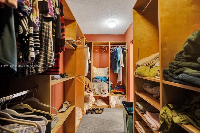 walk in closet featuring carpet flooring