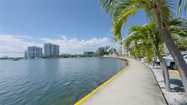 view of water feature featuring a city view