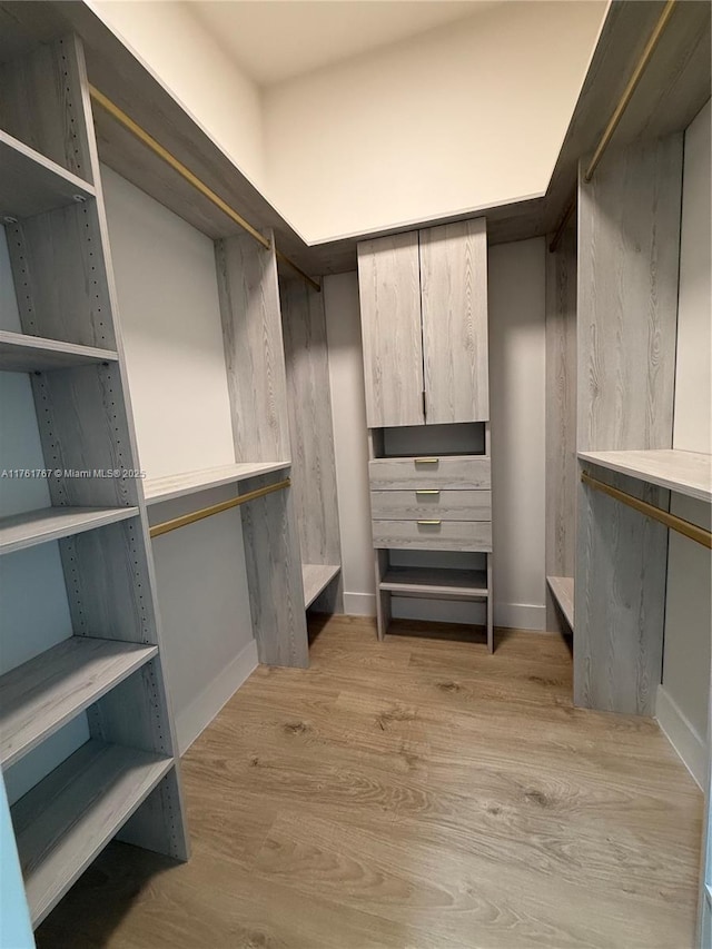 9785 San Luca St, Lake Worth, FL 33467 - walk in closet with light wood-style floors