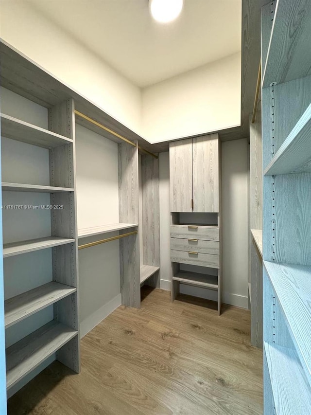 9785 San Luca St, Lake Worth, FL 33467 - walk in closet featuring wood finished floors