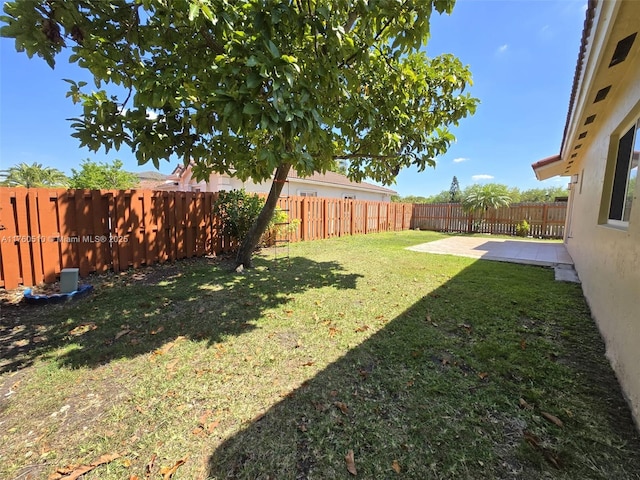 view of yard featuring a fenced backyard and a patio area