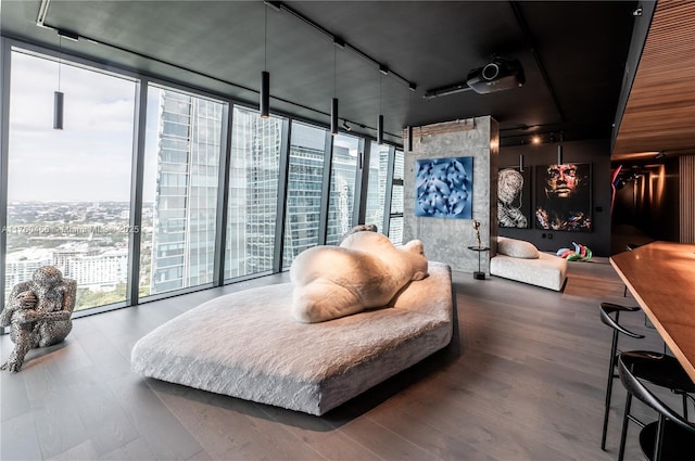 living area featuring a healthy amount of sunlight, wood finished floors, and expansive windows