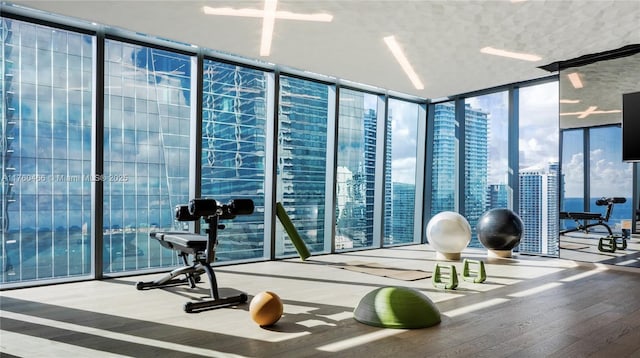 gym featuring wood finished floors and expansive windows