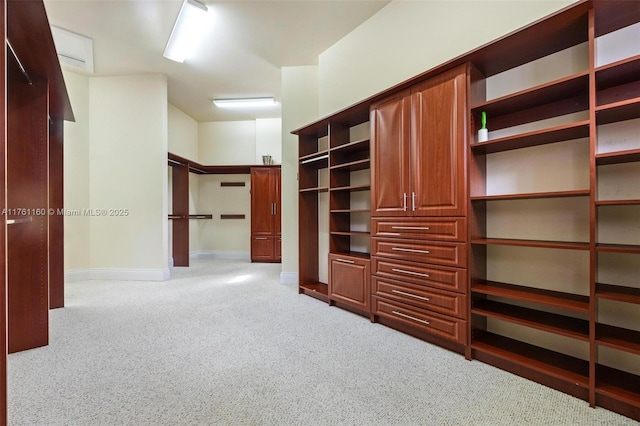 spacious closet with carpet flooring