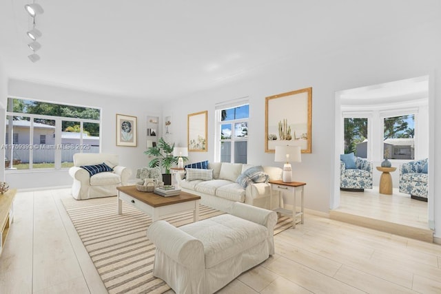 living area featuring wood finished floors and rail lighting