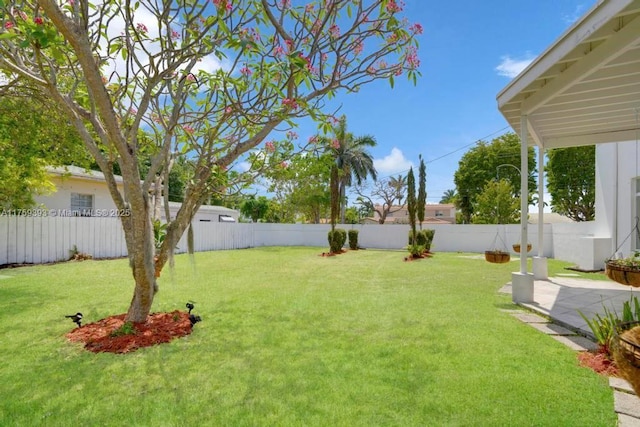 view of yard featuring a fenced backyard and a patio area