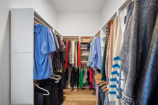 walk in closet with wood finished floors