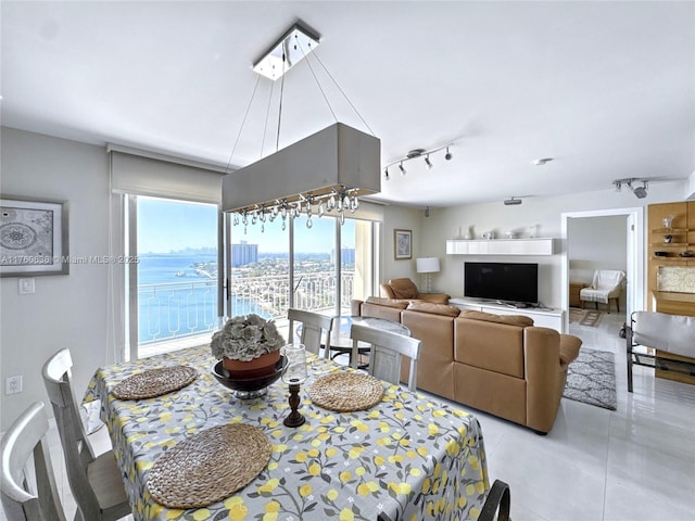 dining space with light tile patterned floors and rail lighting