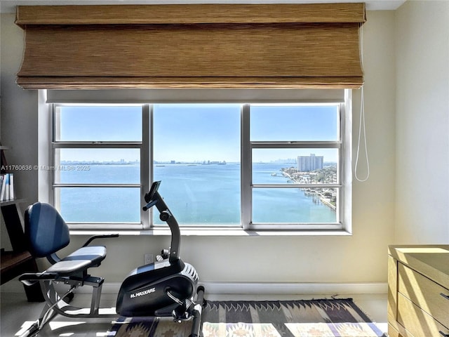 exercise area featuring baseboards