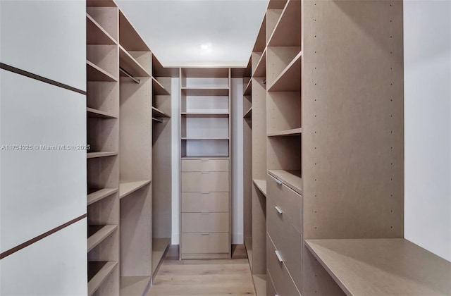 spacious closet with light wood-type flooring