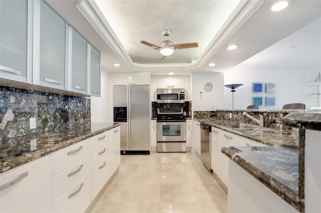 kitchen featuring a sink, a raised ceiling, dark stone counters, and stainless steel appliances