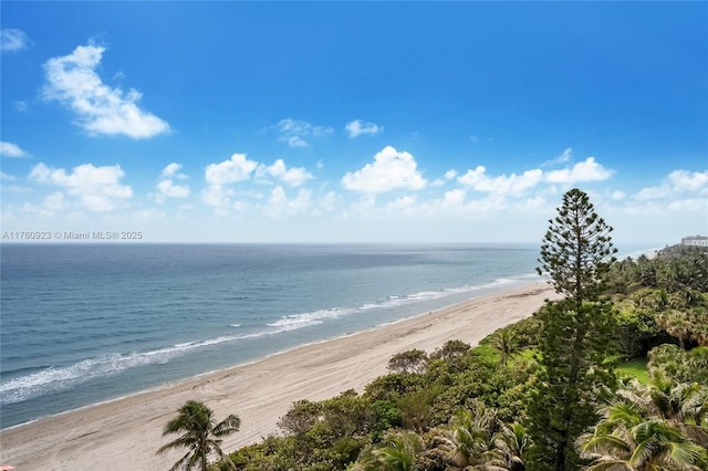 water view featuring a beach view