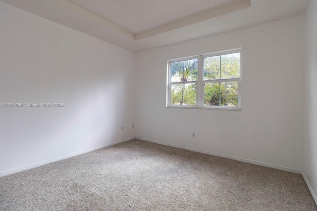 unfurnished room featuring a tray ceiling, baseboards, carpet floors, and a textured ceiling