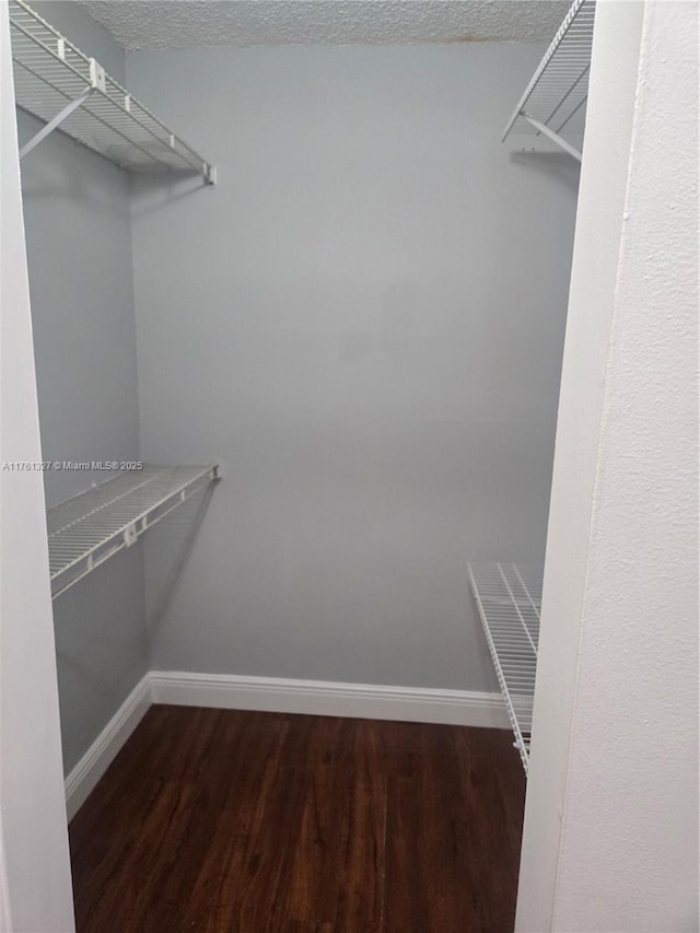 7655 SW 153rd Ct Unit 102, Miami, FL 33193 - walk in closet featuring wood finished floors