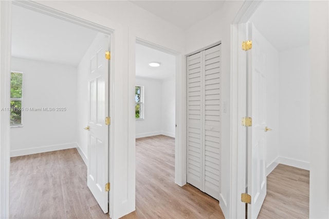 hall featuring plenty of natural light, baseboards, and wood finished floors